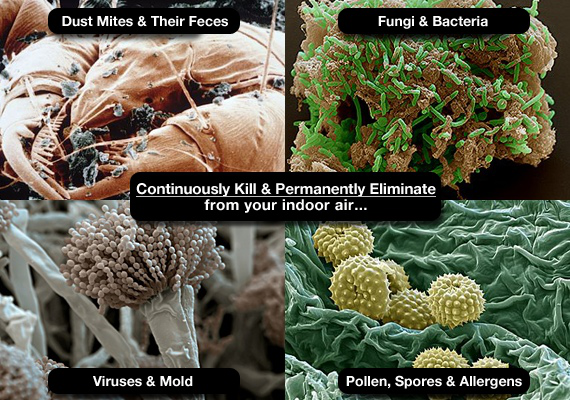 Tulsa-Duct-Cleaning.-Air-Care-Services-mold